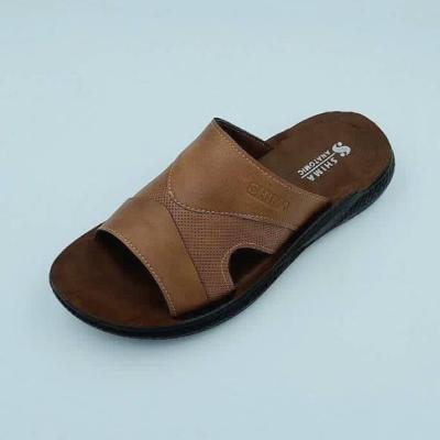 طبی رندال شیما