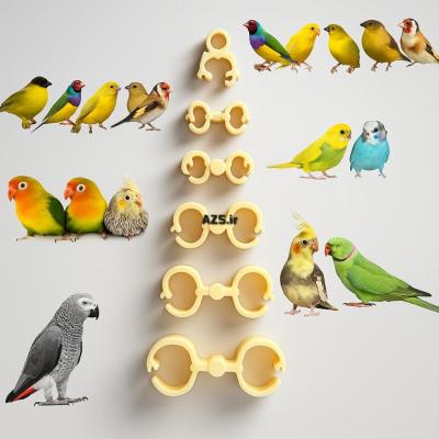 اتل پا طوطی سانان، تمام‌سایز