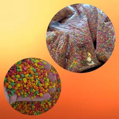 پلت رنگی میوه ای طوطی سانان