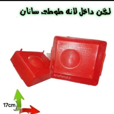 لگن داخل لانه طوطی ، برزیلی و مرغ عشق