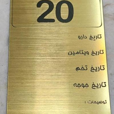 پلاک 12×6.5 هک شده