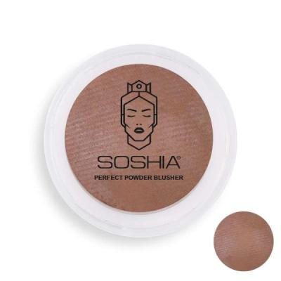 رژ گونه سوشیا مدل دوآل فینیش شماره 12