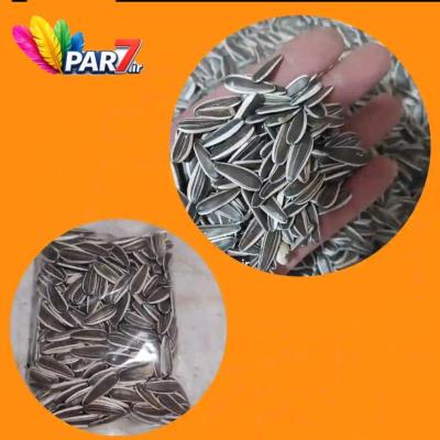 تخمه درجه یک افتابگردان