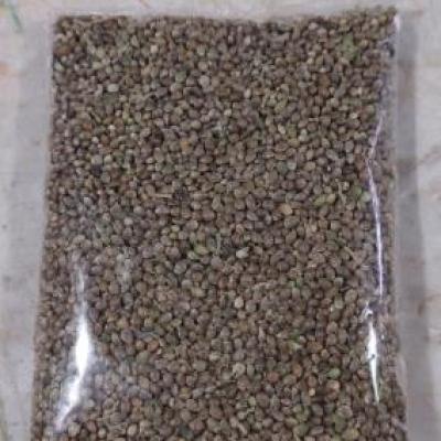 شاهدانه ریز تمیز