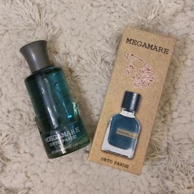 ادکلن مردانه مگاماره 100 میل