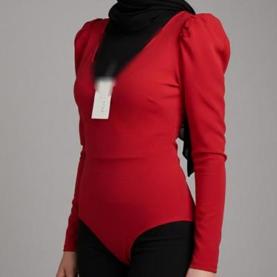 بادی مجلسی وارداتی