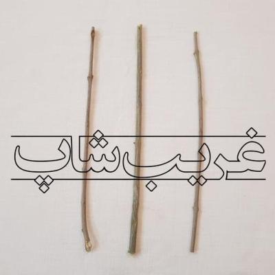 قلم چوب درخت زیتون (قلم روحانی چوب زیتون)
