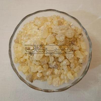 مصطکی اندونزی