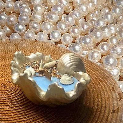 دکوری تزیینی مدل صدف