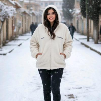 سوییشرت تدی