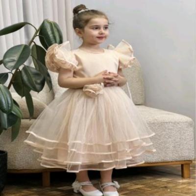 سارافون مجلسی گل‌بهی K5505