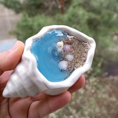 بیس خام صدف گوش ماهی