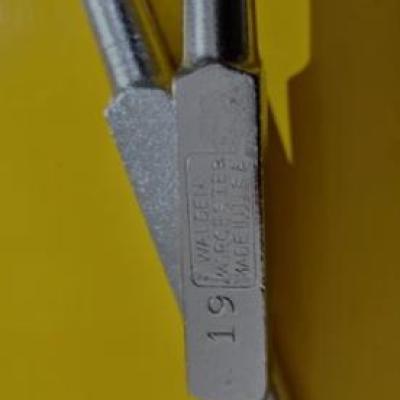 پیچگوشتی آفست آمریکایی